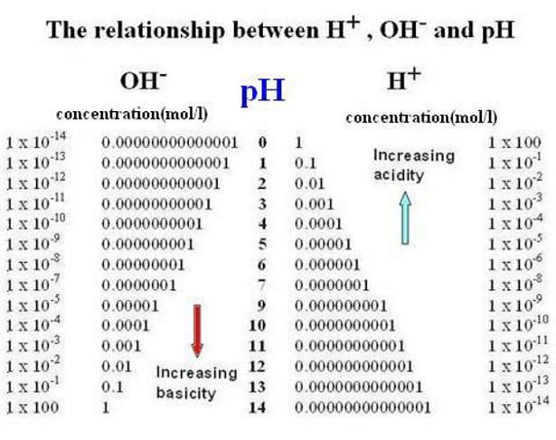 Acidità e Alcalinità